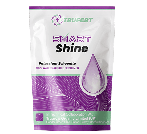 High-potash water-soluble fertilizer for crops