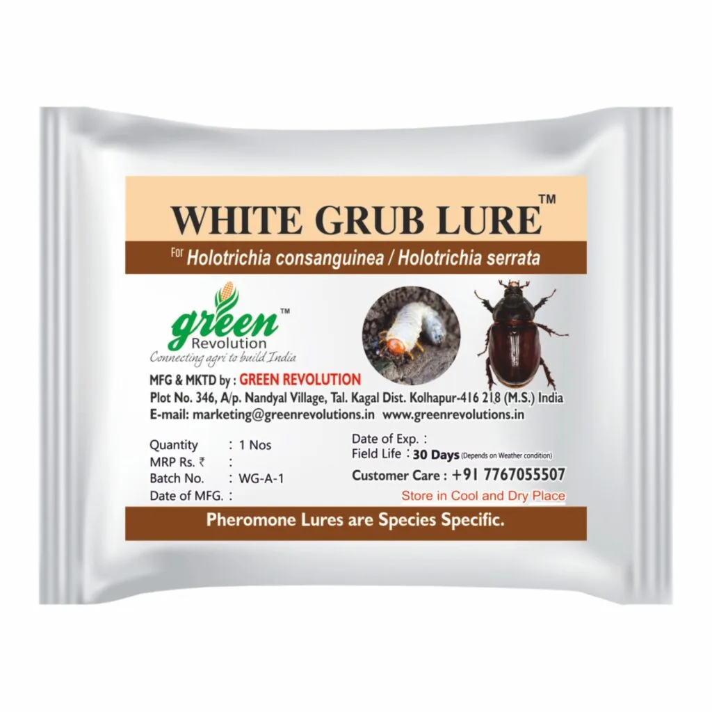 White grub lure for pest control in cropsWhite
