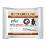 White Grub Lure for All Crops – PL214 | Green Revolution