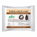 White grub lure for pest control in cropsWhite