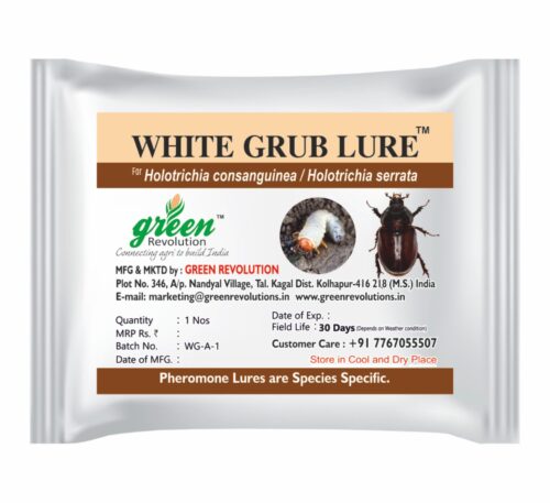 White grub lure for pest control in cropsWhite