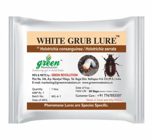 White grub lure for pest control in cropsWhite