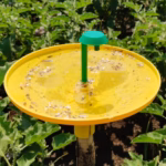 Water Trap (PT142) – 1.8 Ltr Insect Trap | GREEN REVOLUTION - Image 2