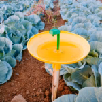 Water Trap (PT142) – 1.8 Ltr Insect Trap | GREEN REVOLUTION - Image 4