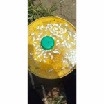 Water Trap (PT142) – 1.8 Ltr Insect Trap | GREEN REVOLUTION - Image 5