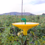 Water Trap (PT142) – 1.8 Ltr Insect Trap | GREEN REVOLUTION - Image 3