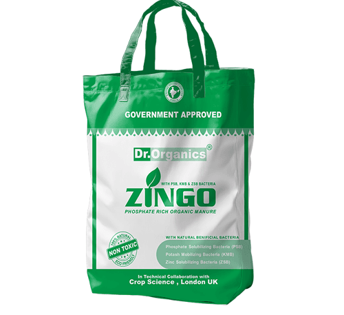 Zingo organic bio fertilizer with PSB KNB ZSB