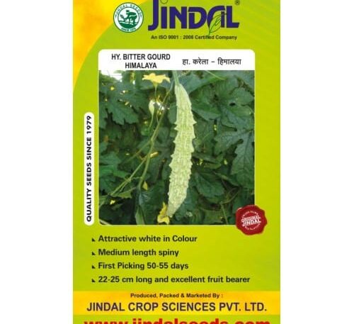 Jindal Himalaya bitter gourd hybrid seeds 50g