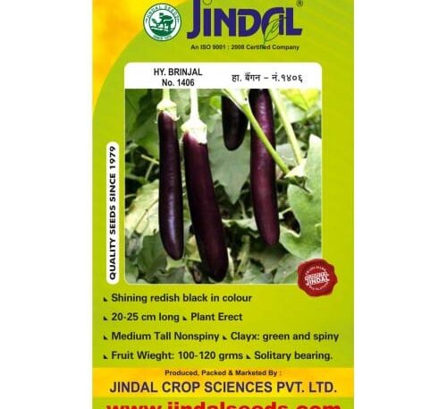 Jindal brinjal hybrid seeds No.1406 10g