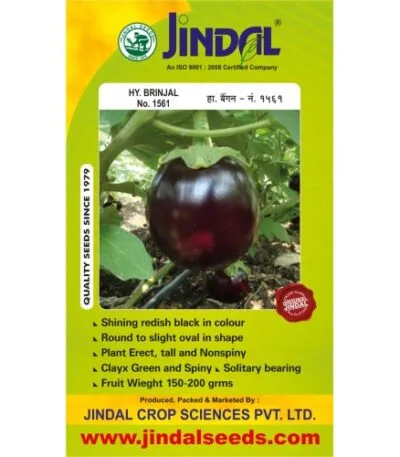 Jindal Brinjal Hybrid Seeds (Baingan Seeds) No.1561 – 10GM
