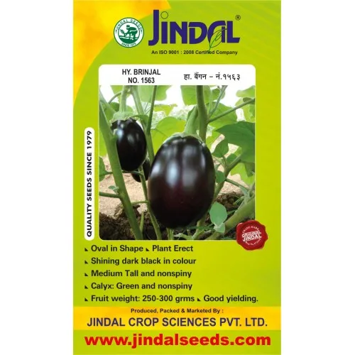 Jindal brinjal hybrid seeds No.1563 10g