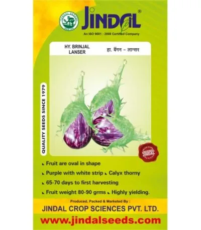 Jindal Lanser brinjal hybrid seeds 10g