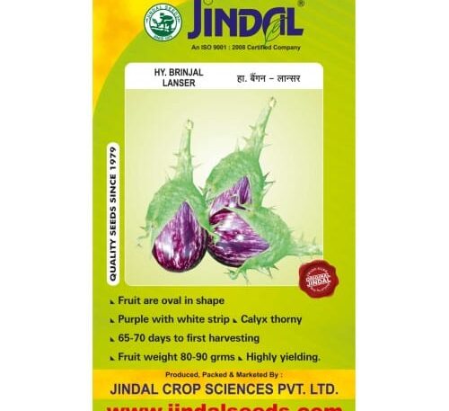Jindal Lanser brinjal hybrid seeds 10g