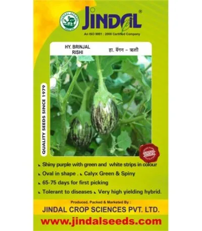 Jindal-Rishi Brinjal Hybrid Seeds 10GM