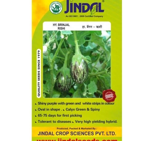 Jindal-Rishi Brinjal Hybrid Seeds 10GM
