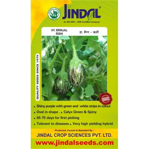 Jindal-Rishi Brinjal Hybrid Seeds 10GM