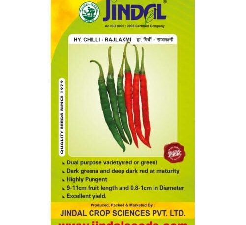 Jindal Rajlaxmi chilli hybrid seeds 10g