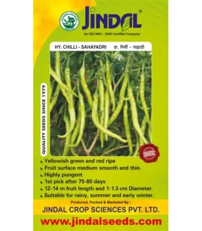 Jindal Sahayadri chilli hybrid seeds 10g
