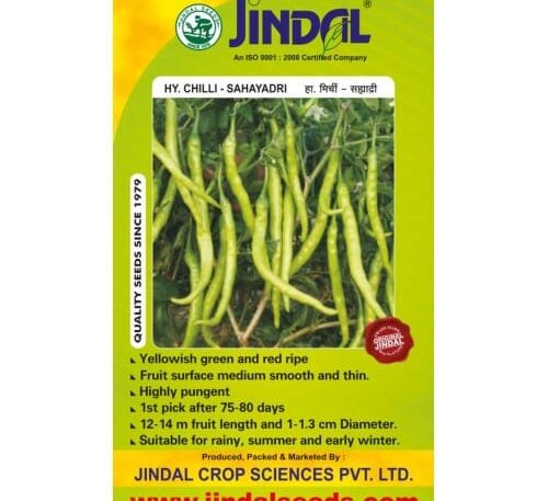 Jindal Sahayadri chilli hybrid seeds 10g