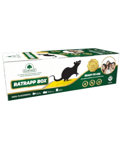 Gumtree rat glue trap box for rodent control
