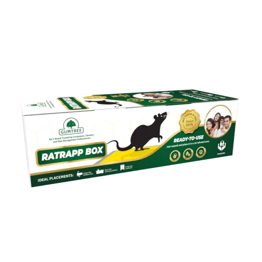 Gumtree rat glue trap box for rodent control