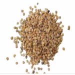 P-S Brinjal Seeds Black (Round) – High Yield Hybrid Baingan Variety | Premium Round Brinjal Seeds for Home & Farm - Image 3