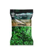 Coriander Surabhi OP seeds Namdhari