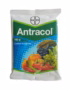 Antracol Fungicide Propineb 70% WP for broad spectrum control of fungal diseases in crops