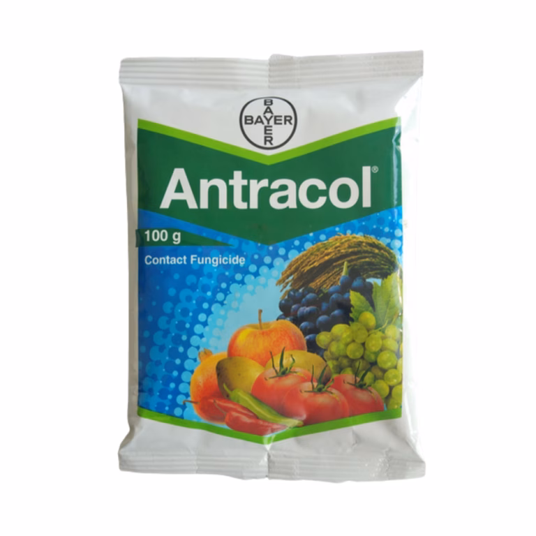 Antracol Fungicide Propineb 70% WP for broad spectrum control of fungal diseases in crops