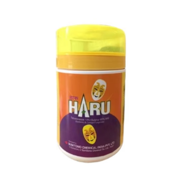 Haru Fungicide – Tebuconazole 10% + Sulphur 65% WG for Broad-Spectrum Fungal Disease Control