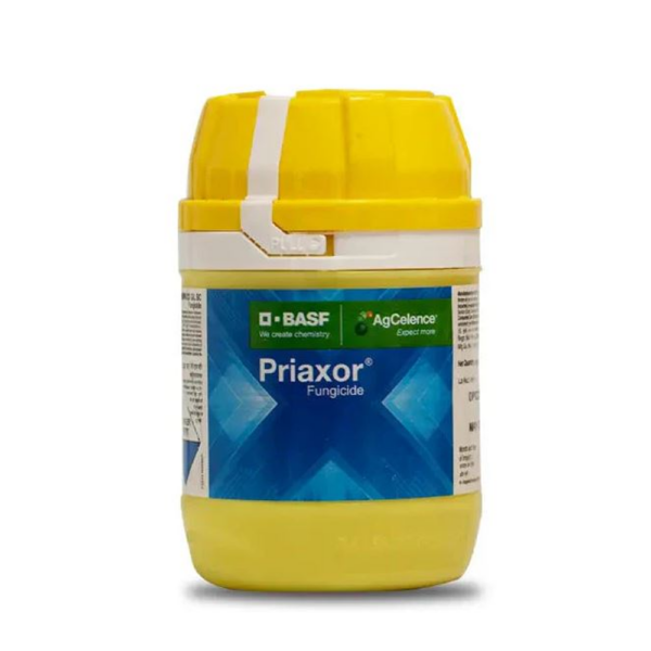 Priaxor Fungicide – Fluxapyroxad & Pyraclostrobin by BASF