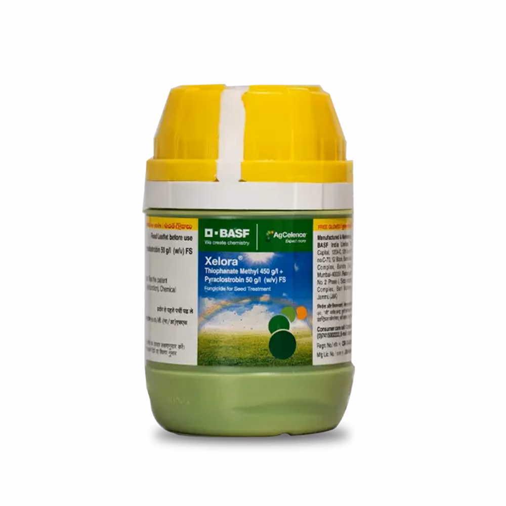 Xelora Xelora fungicide seed treatment.