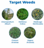 Affinity Herbicide – Carfentrazone Ethyl 40% DF Broad Spectrum Weed Control - Image 3