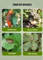 Cabrio Top Fungicide | Metiram 55% + Pyraclostrobin 5% WG | Broad Spectrum Fungicide by BASF - Image 5