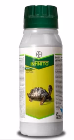 Infinito Fungicide by Bayer with Fluopicolide + Propamocarb SC for control of Late Blight and Downy Mildew