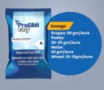 Progibb Easy plant growth regulator with Gibberellic Acid 0.001% liquid formulation for enhanced plant growth and development.