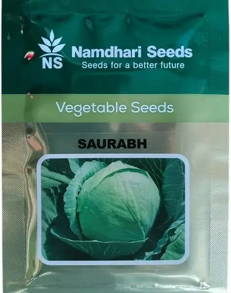 Namdhari Cabbage F1 Saurabh Seeds – Early Maturity Hybrid with Round Heads