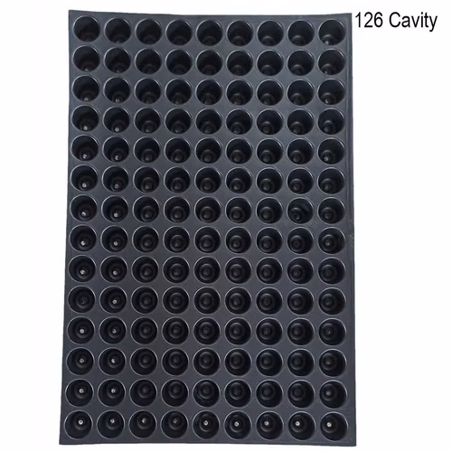 High density seedling tray with 126 cavities designed for efficient and organized seedling production, suitable for nursery and greenhouse use, pack of 50 trays